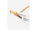 ОЧИЛА DeWALT DPG54-1D Protector Clear Lens
